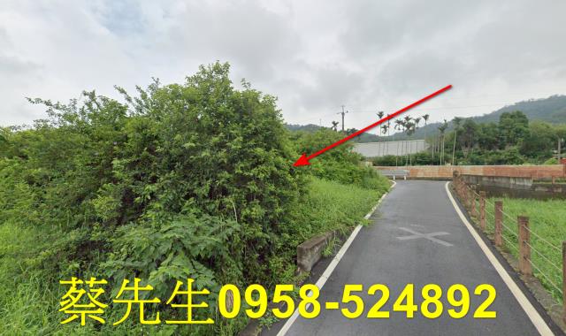 銅鑼法拍農地-13