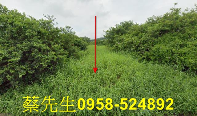 銅鑼法拍農地-0