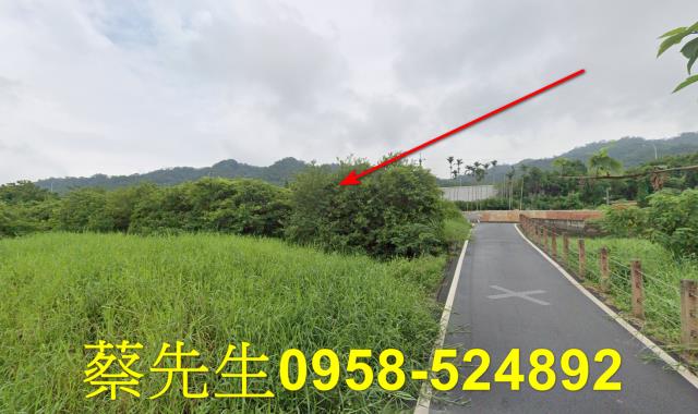 銅鑼法拍農地-6