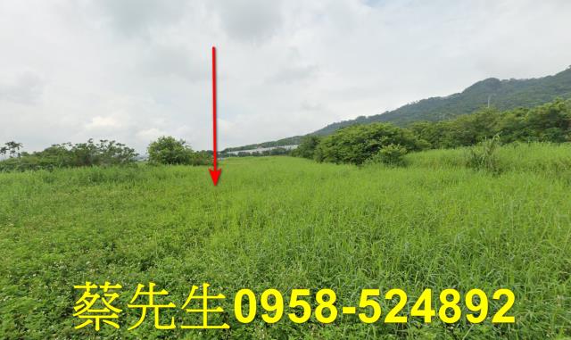銅鑼農地法拍-0