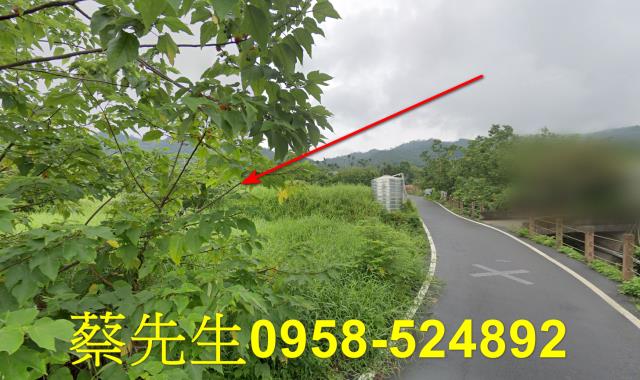 銅鑼農地法拍-6