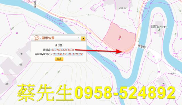 嘉義中埔法拍建地-9