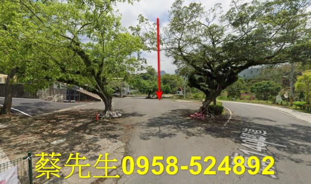 嘉義中埔法拍建地-14