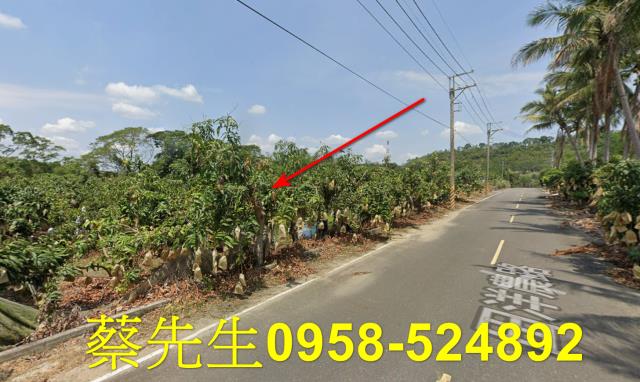 台南南化農地拍賣-13