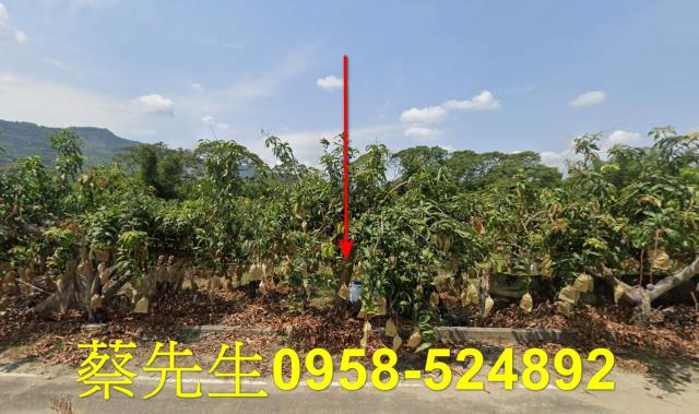 台南南化農地拍賣-0
