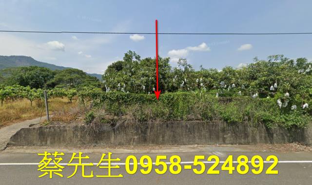 台南南化農地法拍-0