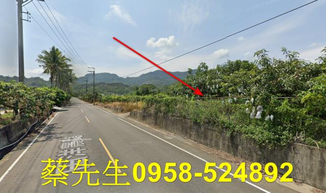 台南南化農地法拍-3