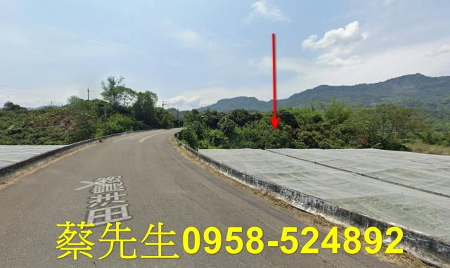 台南南化農地法拍-4