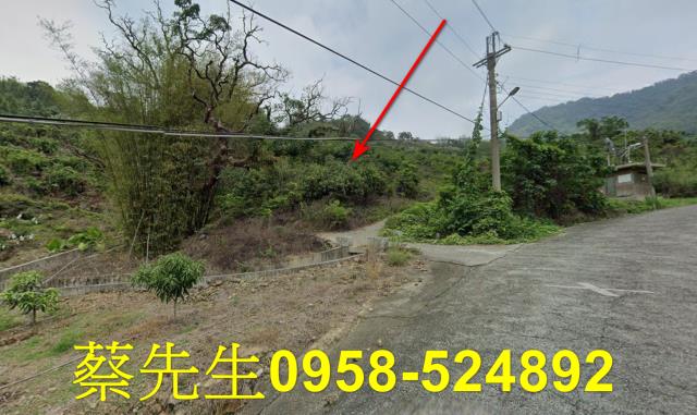 台南南化拍賣農地-3