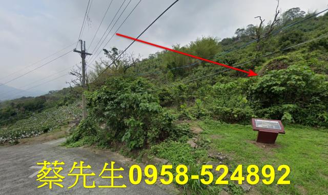 台南南化拍賣農地-5