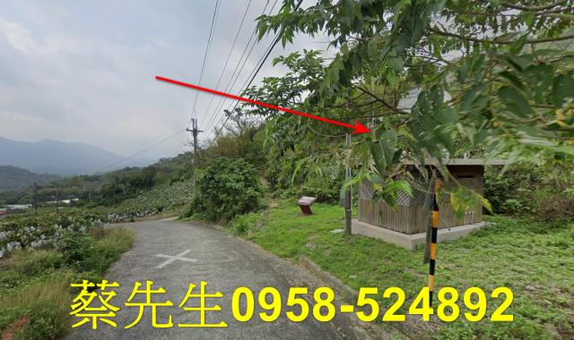台南南化拍賣農地-6