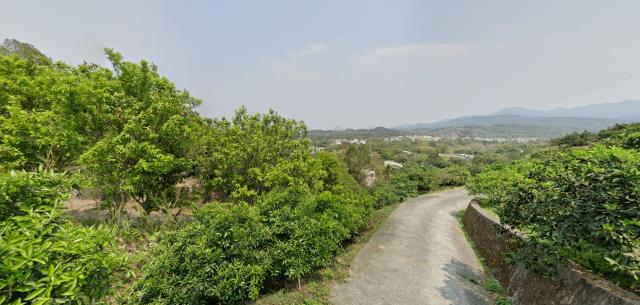 中寮法拍農地-11
