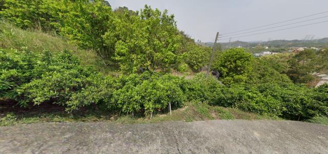 中寮法拍農地-8