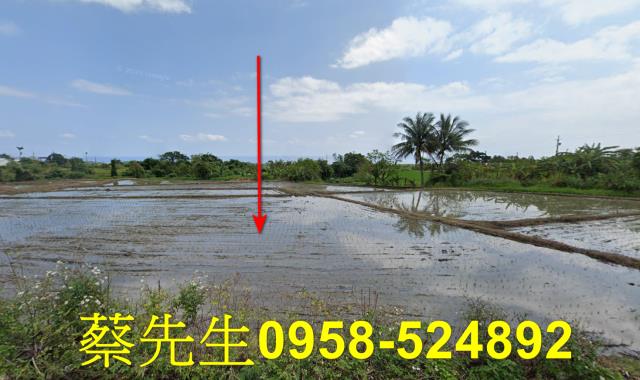 長濱農地法拍-0