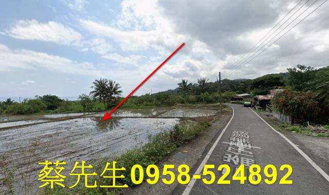 長濱農地法拍-3