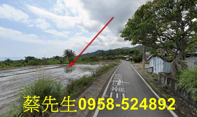 長濱農地法拍-4