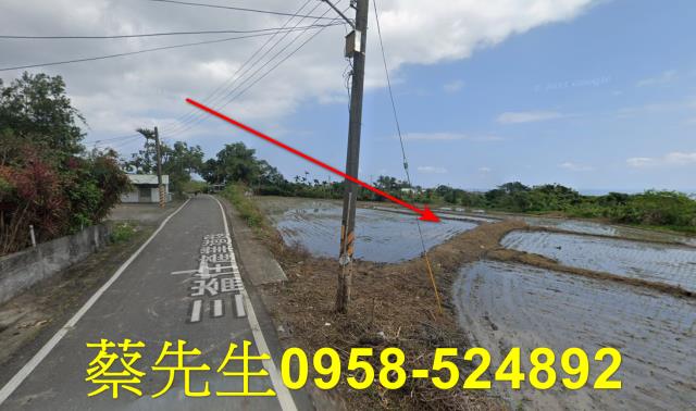 長濱農地法拍-5