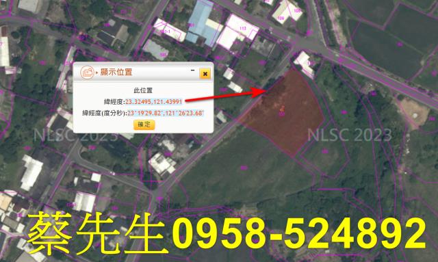 長濱農地法拍-10