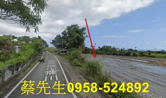 長濱農地法拍-4