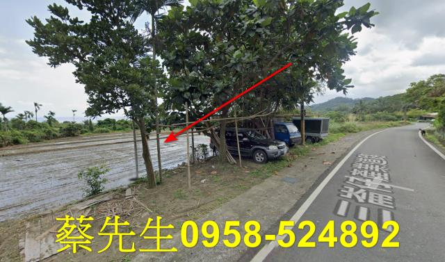 長濱農地法拍-5