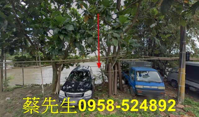 長濱農地法拍-8