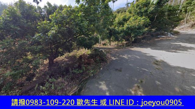 霧峰法拍農地-9