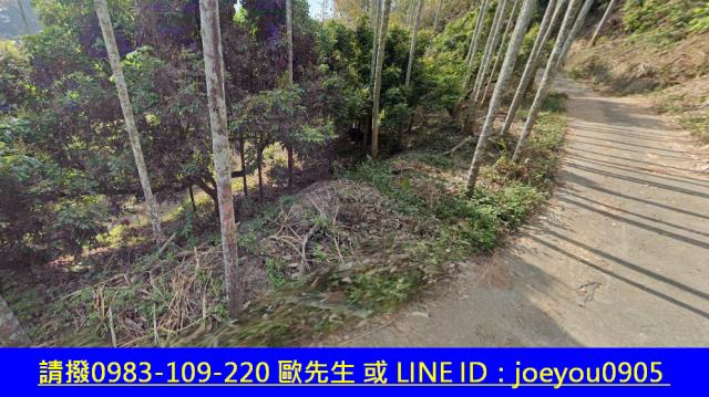 霧峰法拍農地-10