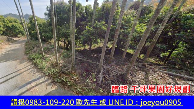 霧峰法拍農地-2