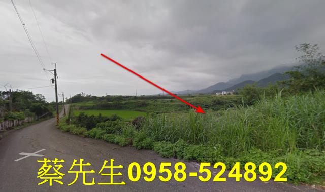 長濱法拍農地-12
