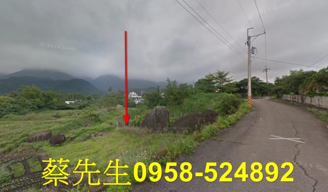 長濱法拍農地-13