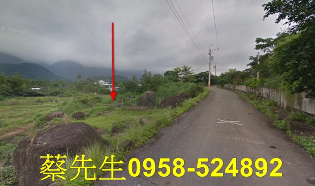 長濱法拍農地-14