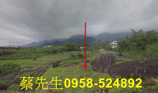 長濱法拍農地-0