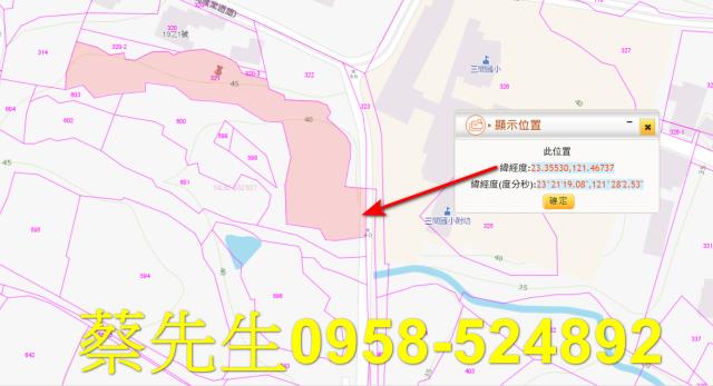 長濱法拍農地-1