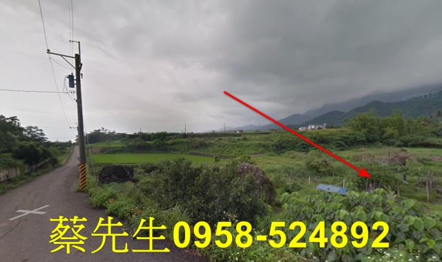 長濱法拍農地-3