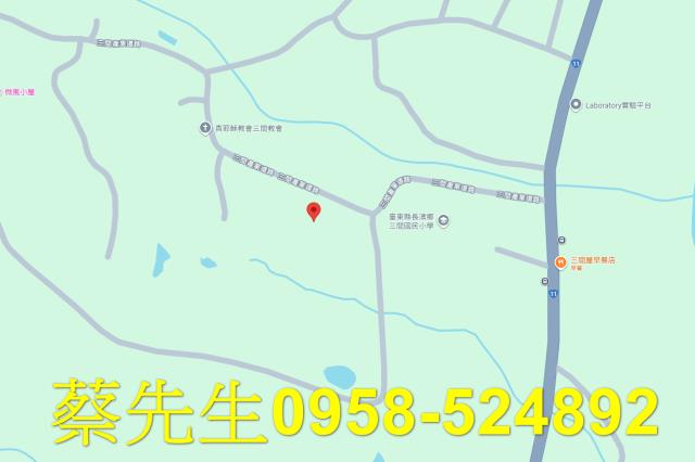 長濱法拍農地-7