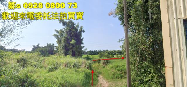 桃園建地法拍-1