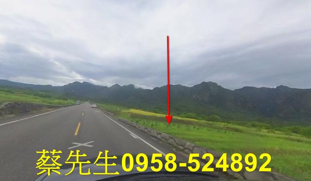 台東長濱農地拍賣-0