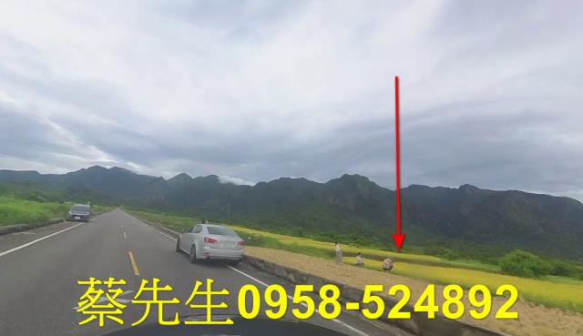 台東長濱農地拍賣-3