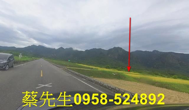台東長濱農地拍賣-4