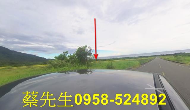 台東長濱農地拍賣-6