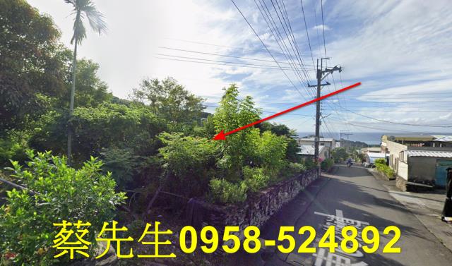 台東太麻里法拍農地-13
