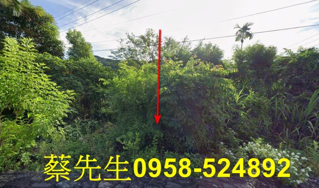 台東太麻里法拍農地-0