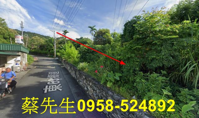 台東太麻里法拍農地-3