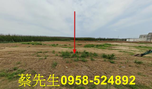 澎湖湖西農地法拍-8