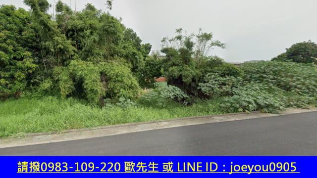 大肚法拍農地-9