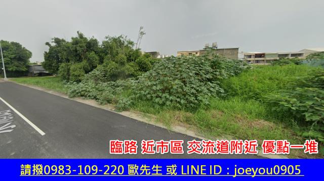 大肚法拍農地-2