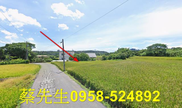 楊梅農地拍賣-12