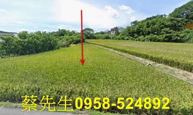 楊梅農地拍賣-0