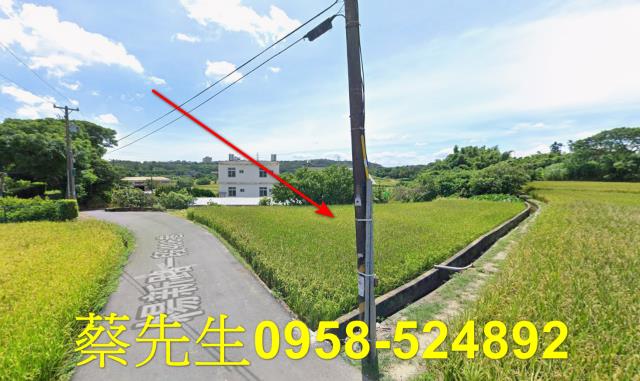楊梅農地拍賣-3