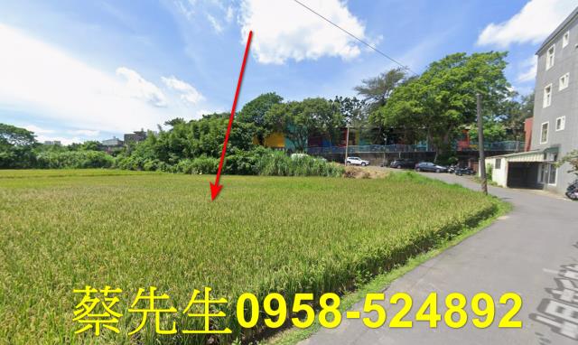 楊梅法拍農地-13